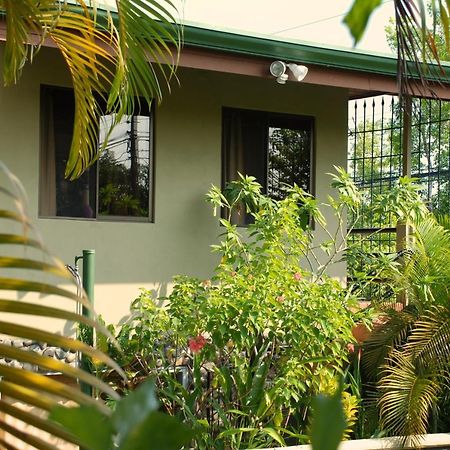 مانويل أنطونيو Villas Oasis المظهر الخارجي الصورة