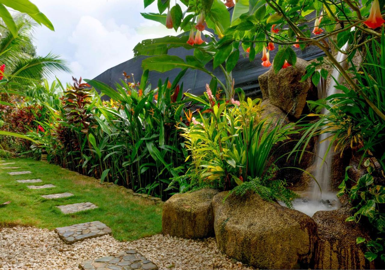 مانويل أنطونيو Villas Oasis المظهر الخارجي الصورة